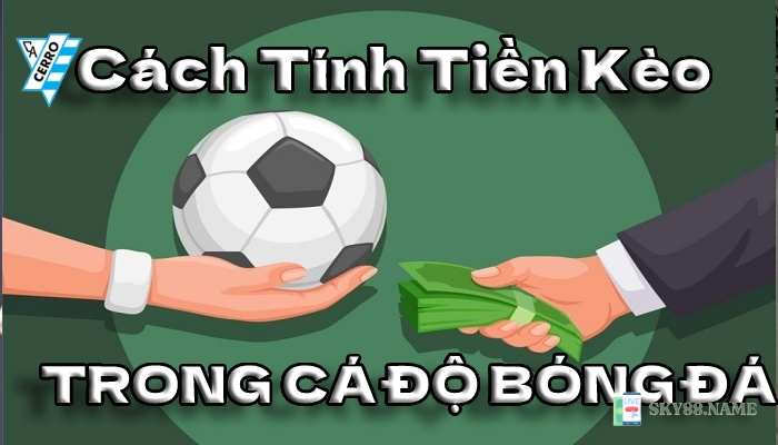 Tính tiền bóng đá sky88