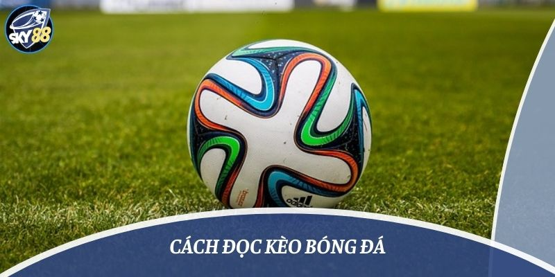 Cách đọc kèo bóng đá