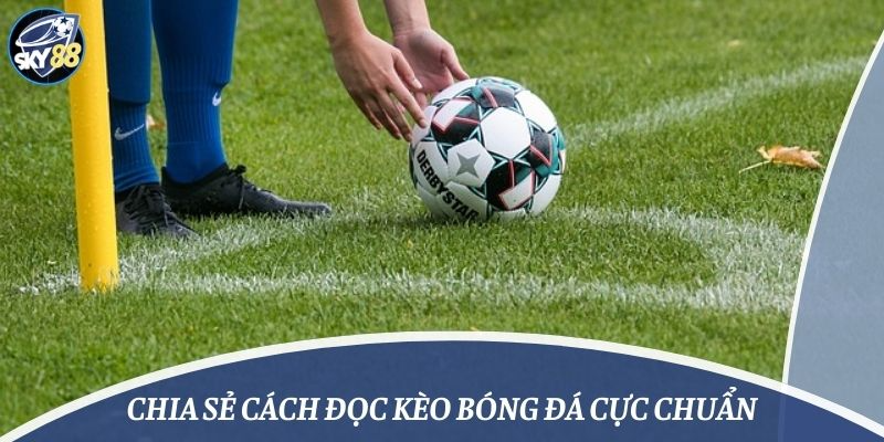 Chia sẻ cách đọc kèo bóng đá cực chuẩn