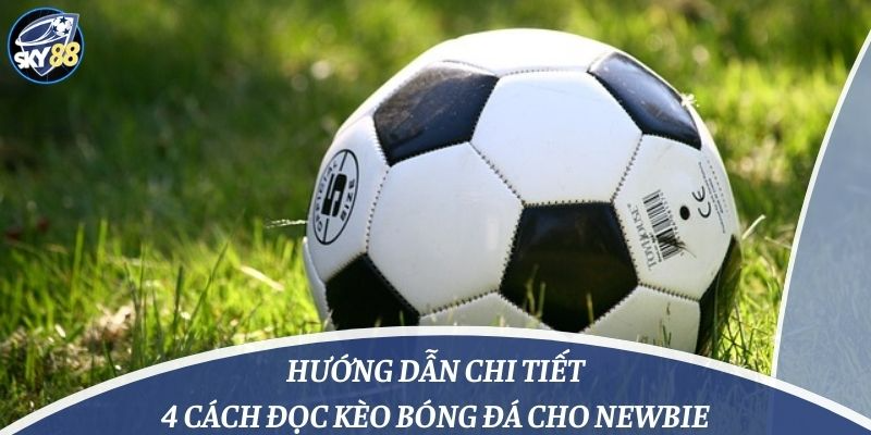 Hướng Dẫn Chi Tiết 4 Cách Đọc Kèo Bóng Đá Cho Newbie