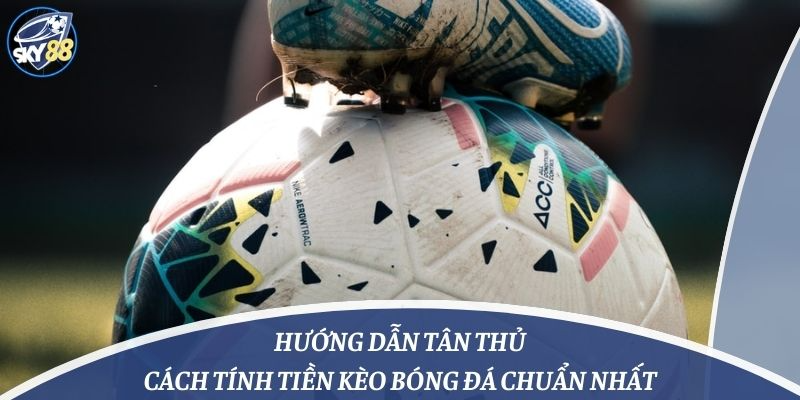 Hướng Dẫn Tân Thủ Cách Tính Tiền Kèo Bóng Đá Chuẩn Nhất